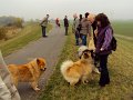 20121021 (18)
